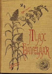 Cover of "MAX HAVELAAR"